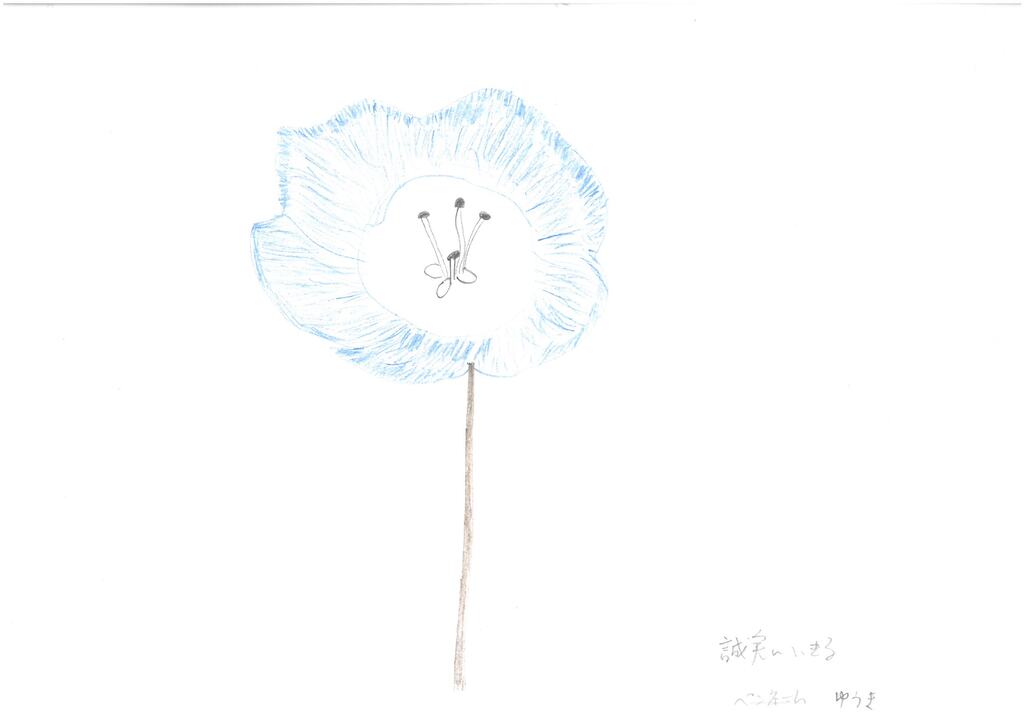 誠実に生きる＿ゆうき