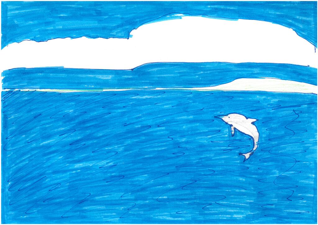 海＿イルカ