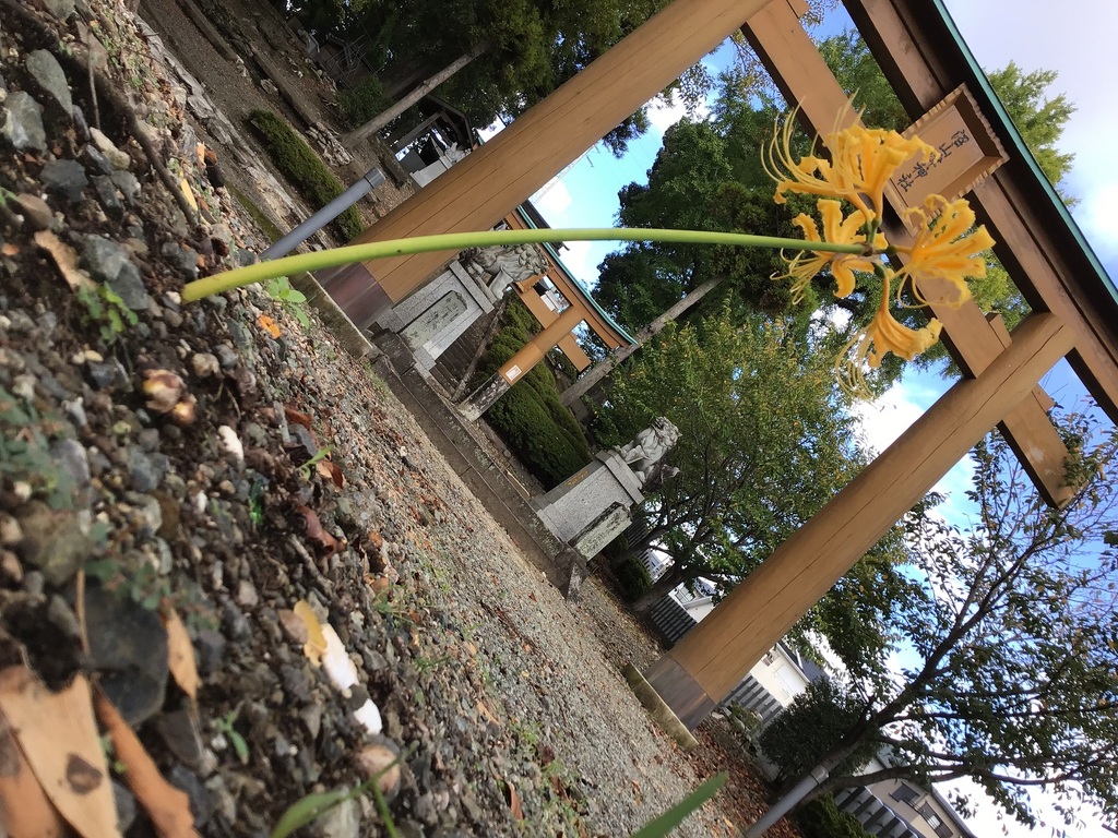 モンブラン　青空と彼岸花